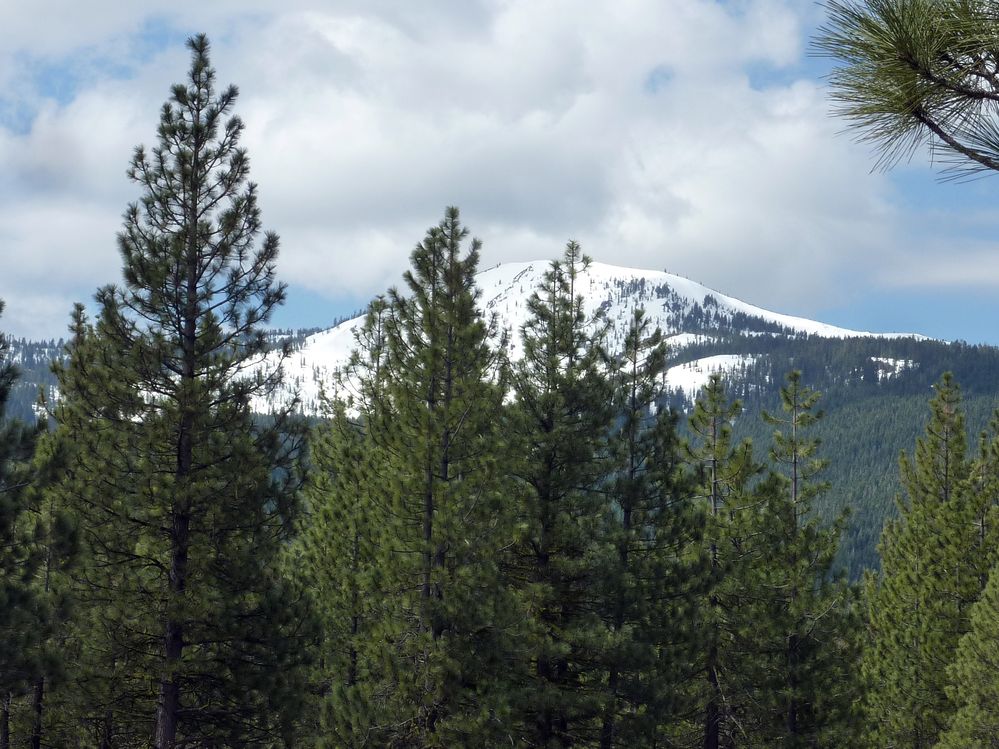 Volcan Lassen (13).JPG